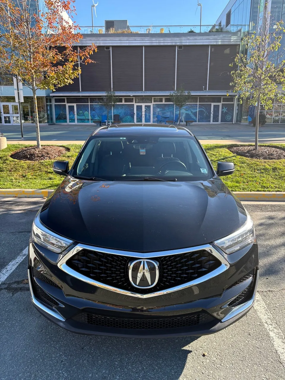 Acura Rdx 2021 photo 2
