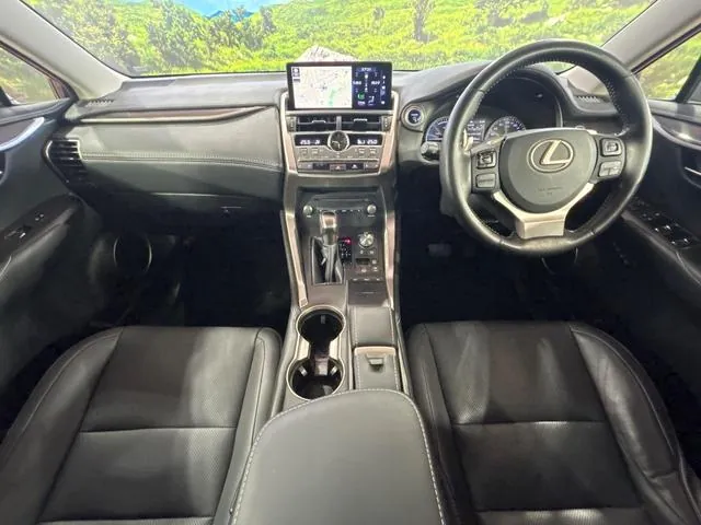 Lexus Nx300H 2019 photo 2