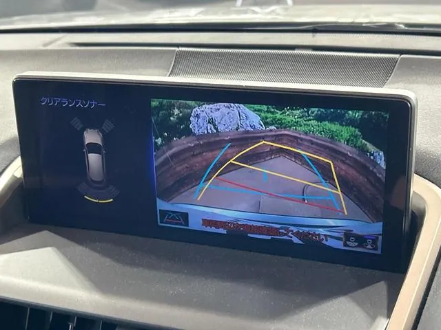Lexus Nx300H 2019 photo 4