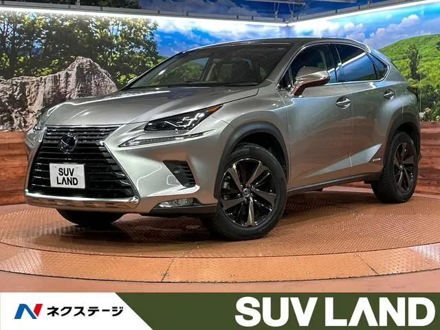 Lexus Nx300H