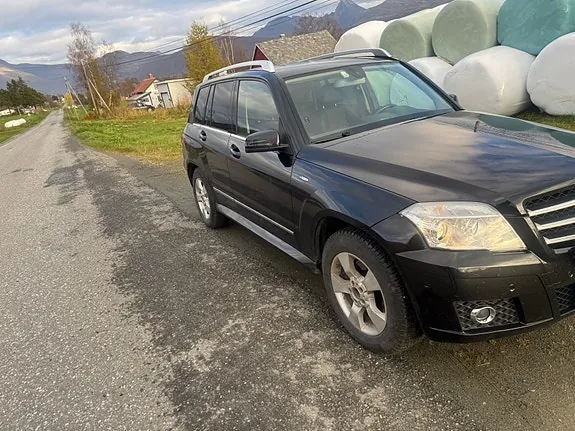 Mercedes-Benz Glk220 2009 photo 5