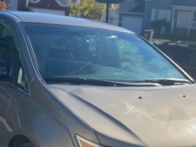 Honda Odyssey 2011 photo 2