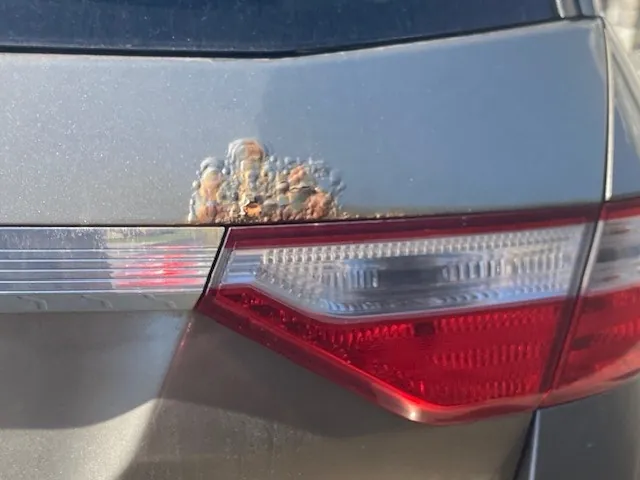 Honda Odyssey 2011 photo 5