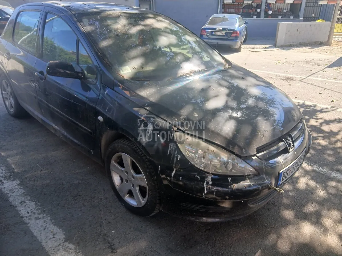 Peugeot 307 2004 photo 2