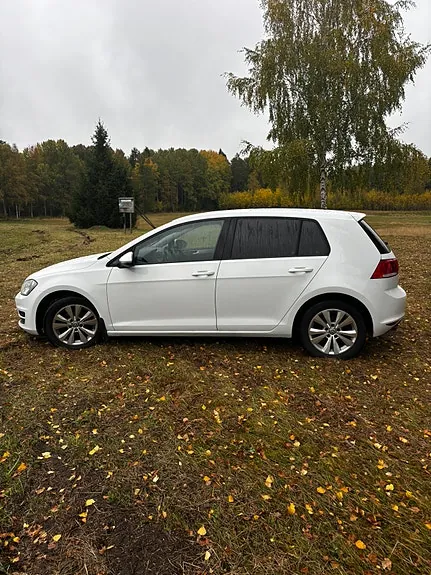 Volkswagen Golf Vii 2014 photo 4