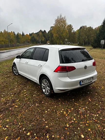 Volkswagen Golf Vii 2014 photo 3