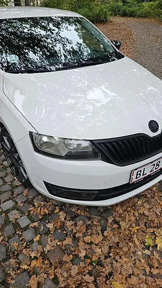 Skoda Rapid 2015 photo 5