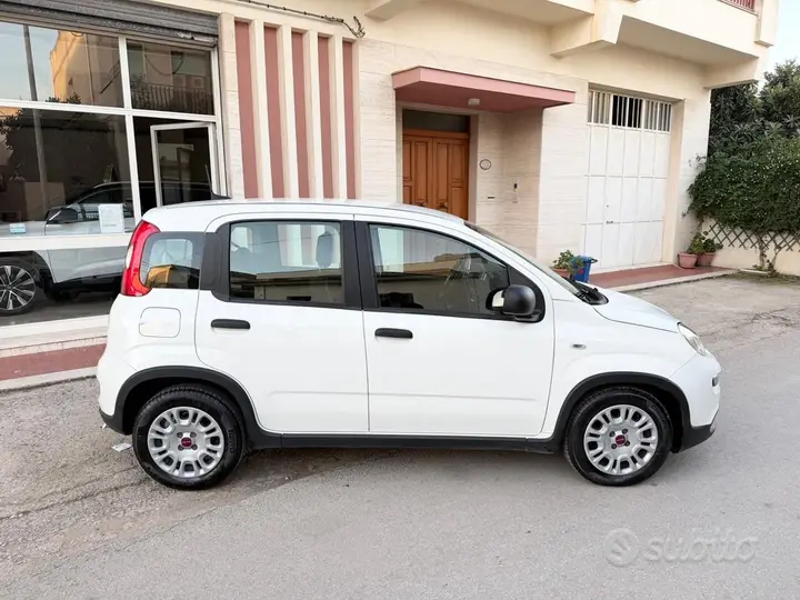 Fiat Panda 2024 photo 2