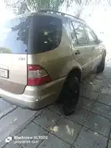Mercedes-Benz M-Class 2002 photo 4
