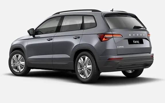 Skoda Karoq 2026 photo 2