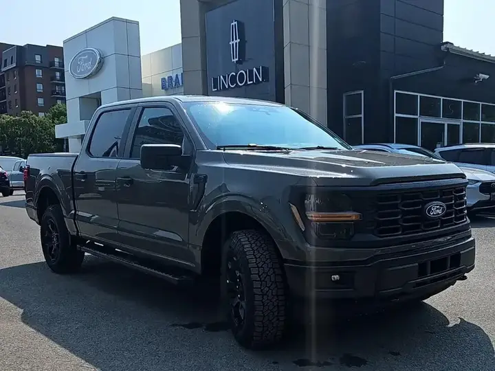 Ford F-150 Supercrew 2026 photo 3