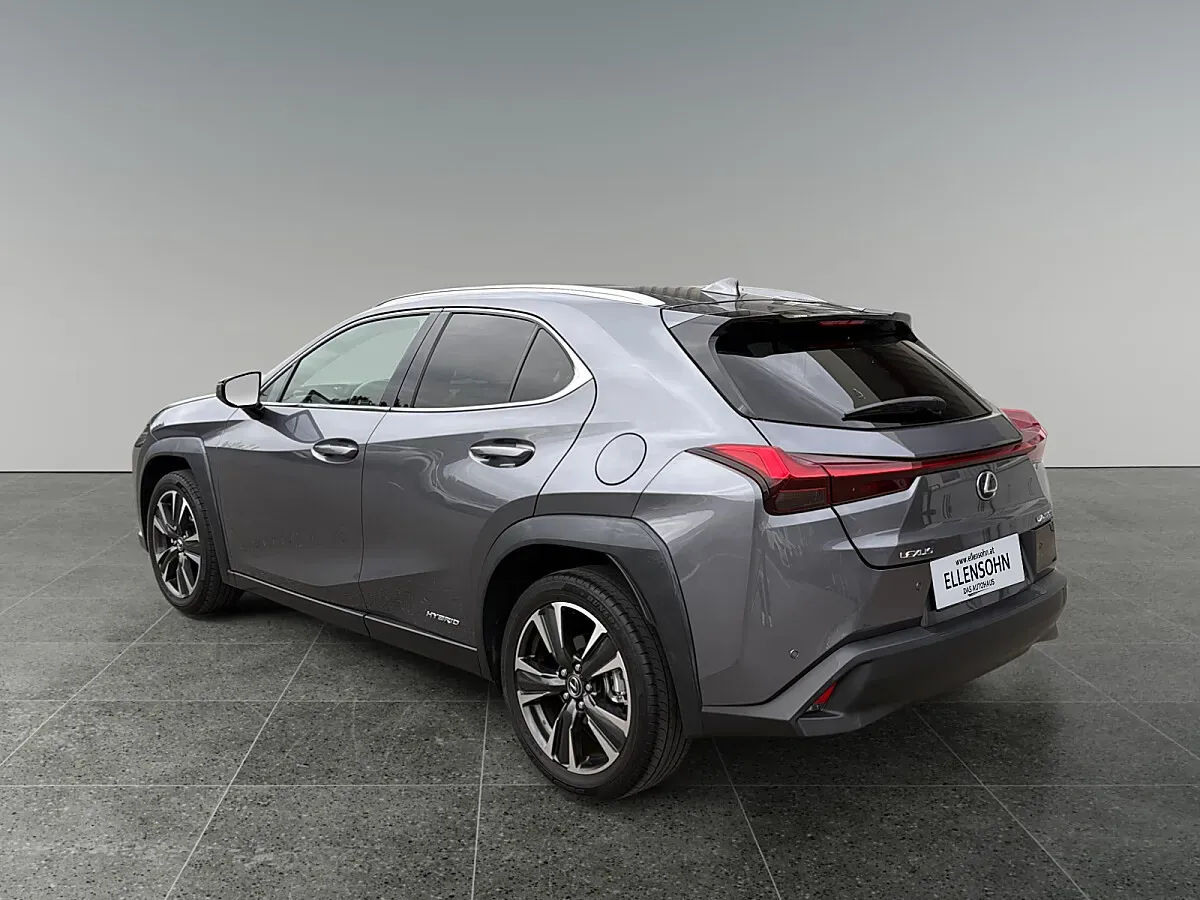 Lexus Ux 2020 photo 3