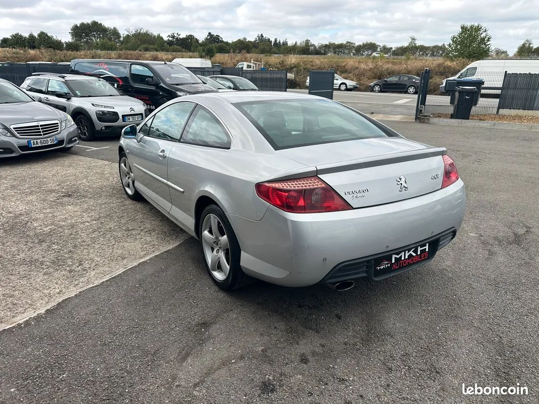 Peugeot 407 2010 photo 5