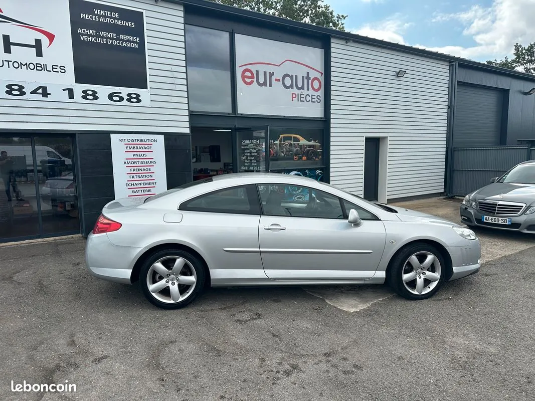 Peugeot 407 2010 photo 2