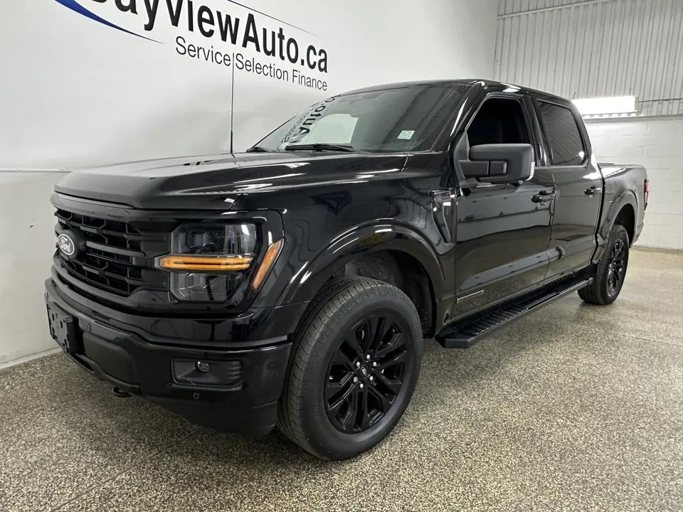 Ford F-150 2024 photo 3