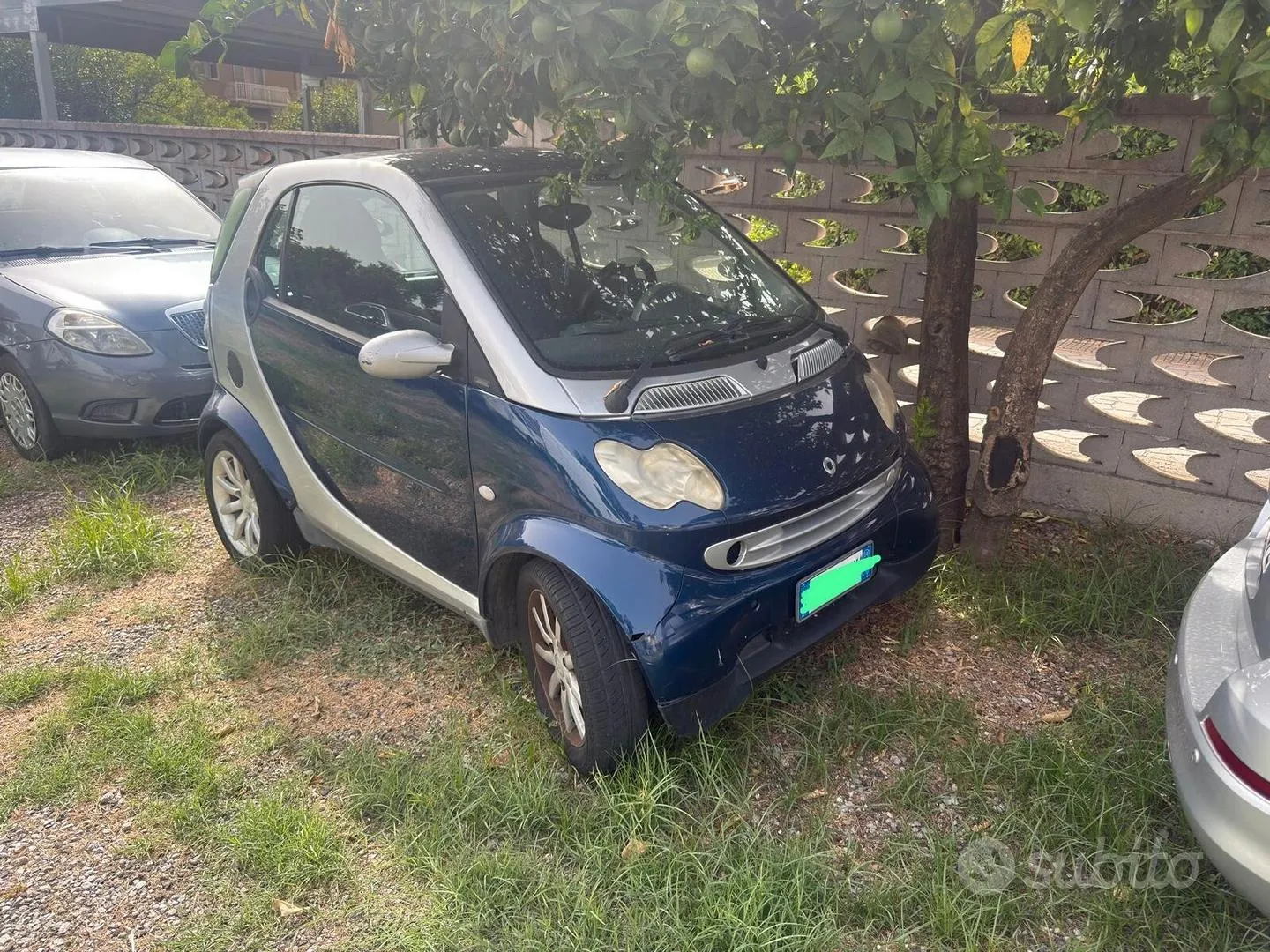 Smart 450