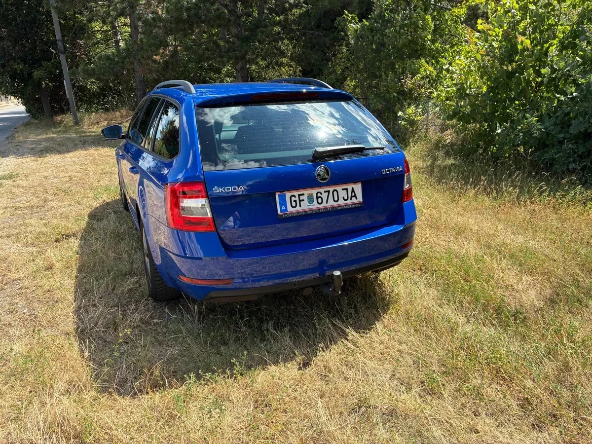 Skoda Octavia 2019 photo 3