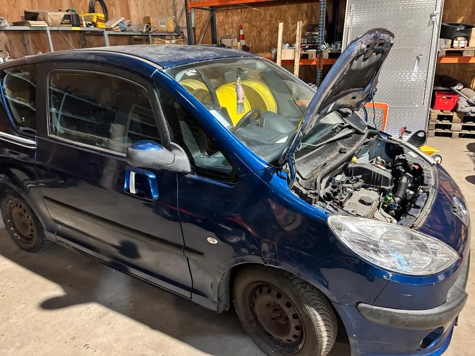 Peugeot 1007