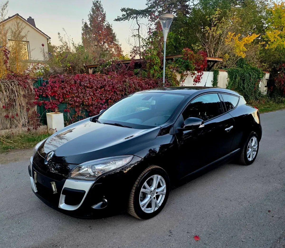 Renault Megane 2009 photo 2