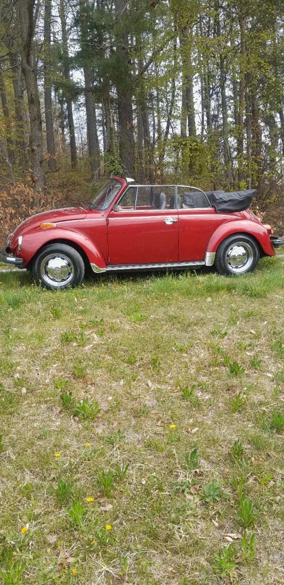 Volkswagen Beetle 1976 photo 3
