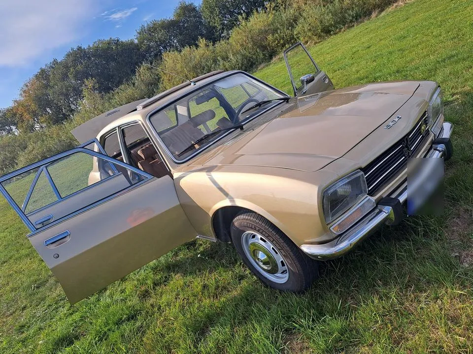Peugeot 504