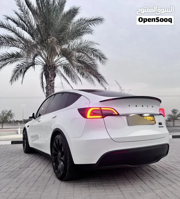 Tesla Model Y 2022 photo 5