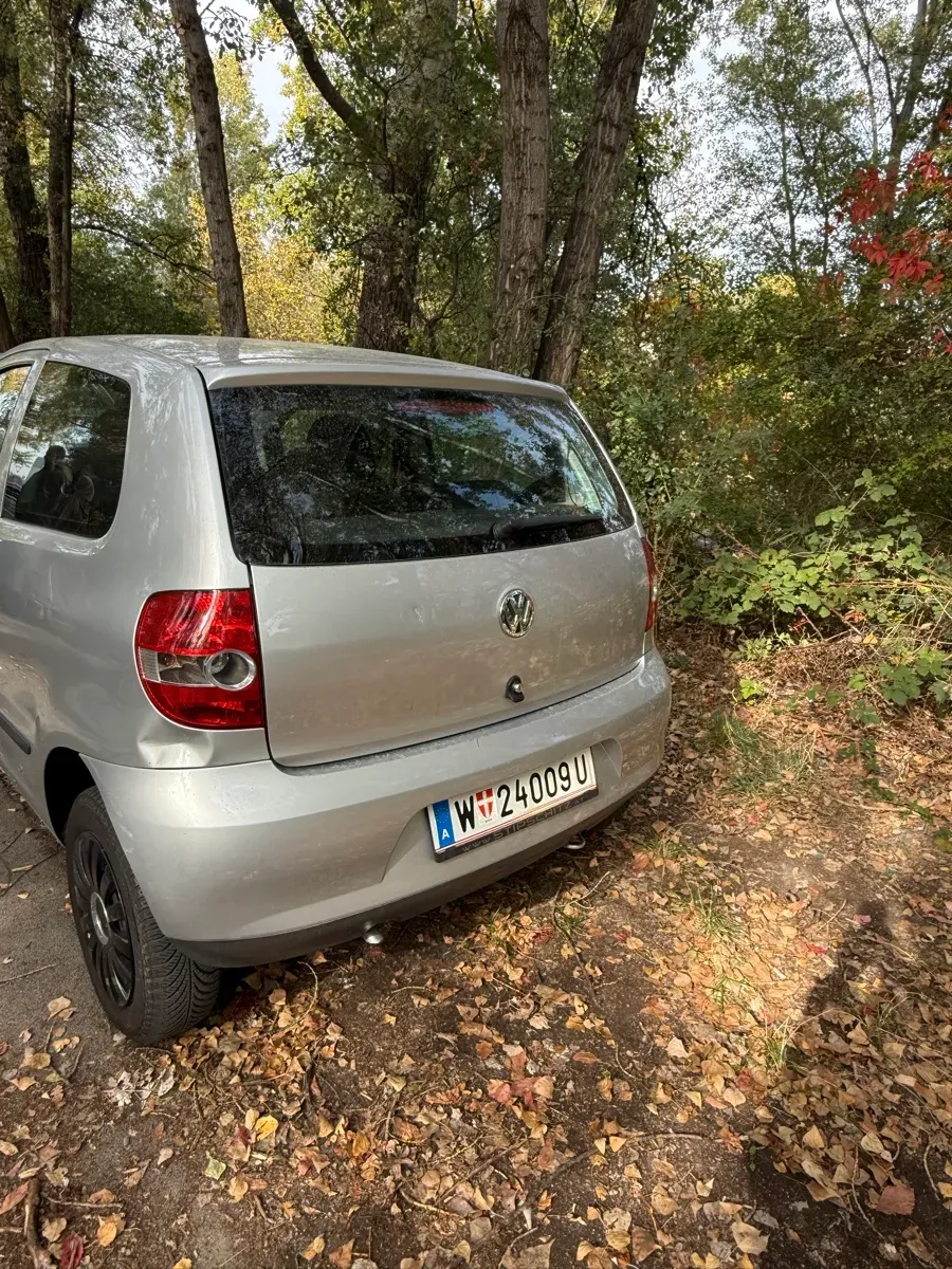Volkswagen Fox 2006 photo 3