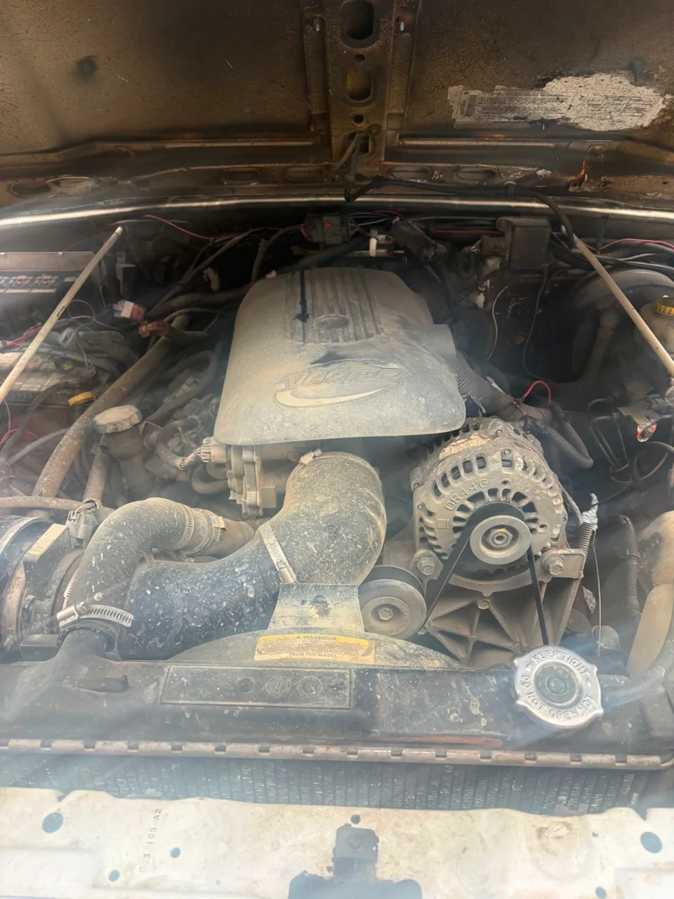 Jeep Tj 2005 photo 5