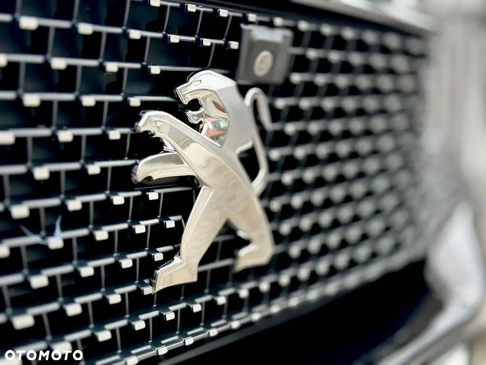 Peugeot 3008 2021 photo 5