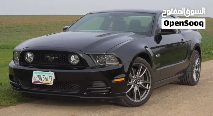 Ford Mustang 2014 photo 2