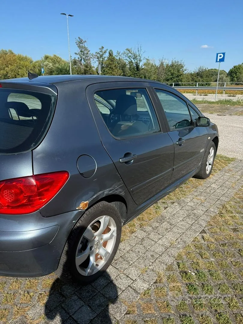 Peugeot 307 2007 photo 4