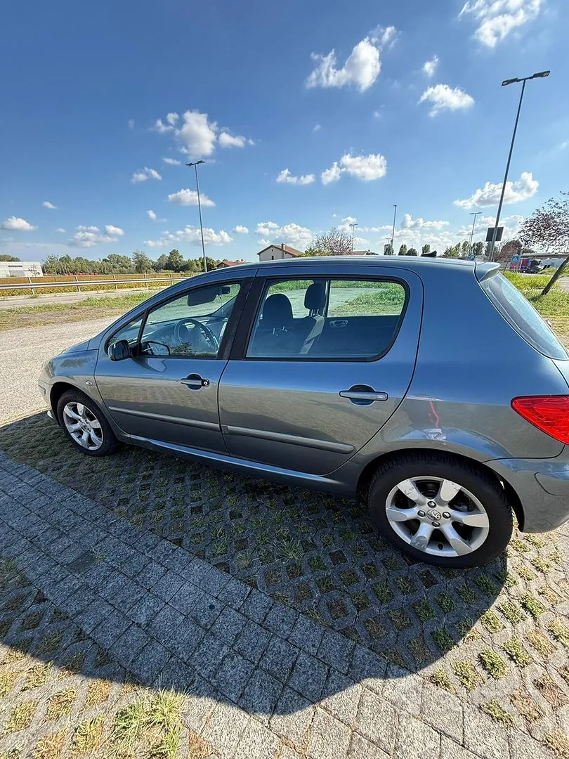 Peugeot 307 2007 photo 2