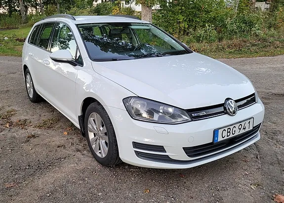 Volkswagen Golf Vii 2015 photo 3