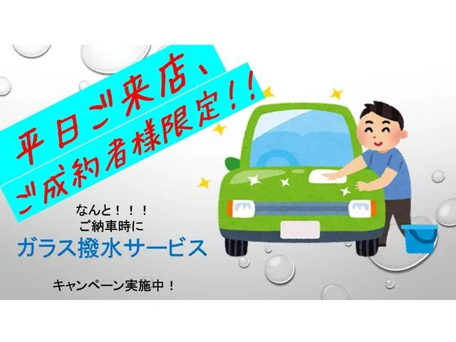 Mitsubishi Roadster 2009 photo 2