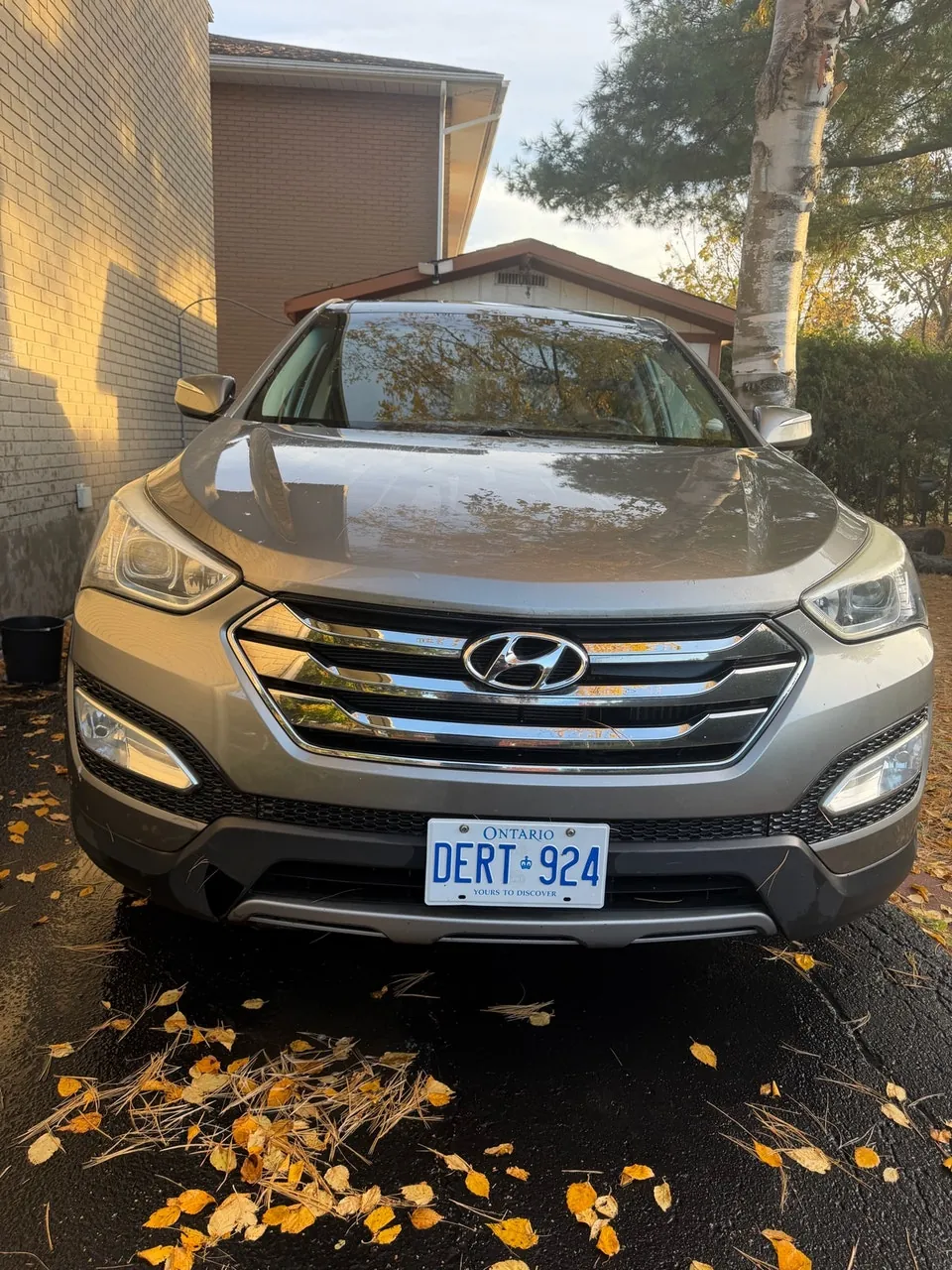 Hyundai Santa Fe 2013 photo 2
