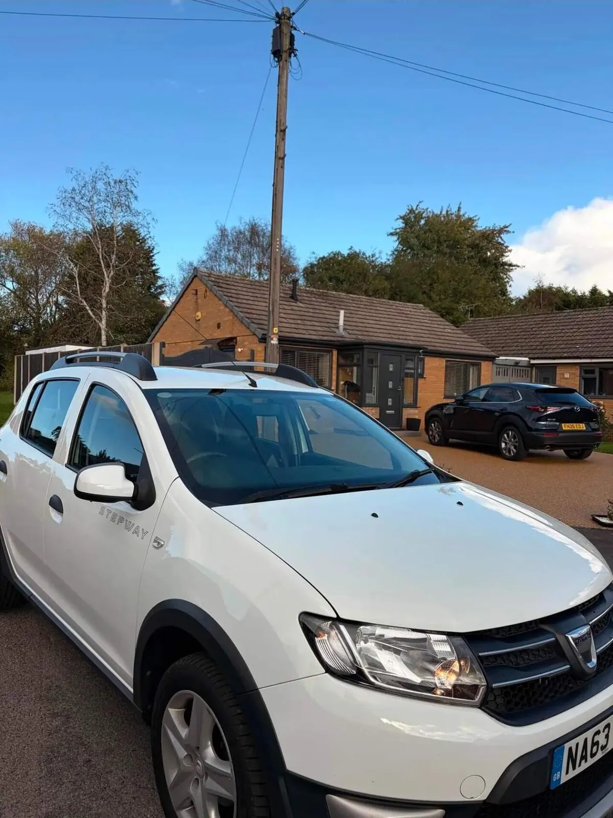 Dacia Sandero Stepway 2013 photo 5