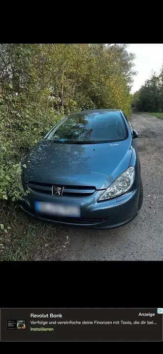 Peugeot 307
