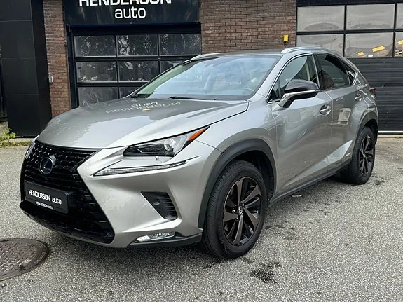 Lexus Nx300H 2019 photo 3