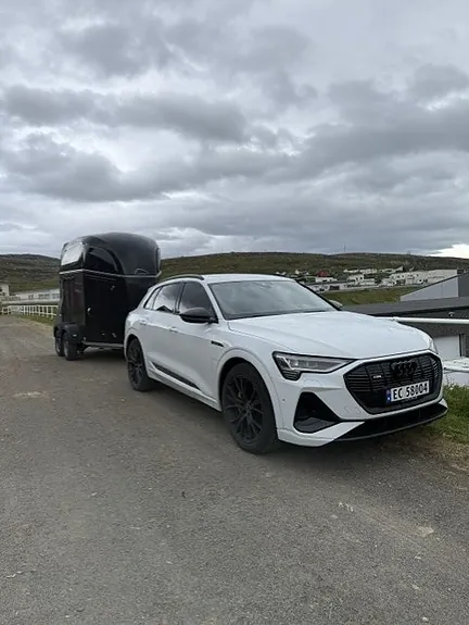 Audi E-Tron 2021 photo 4