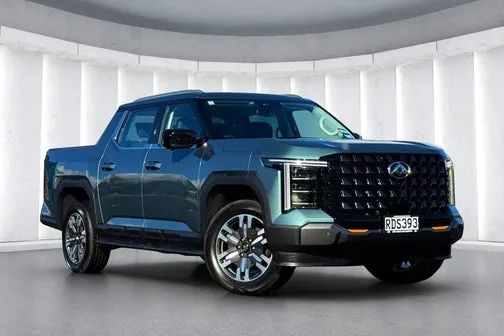 LDV Terron 9