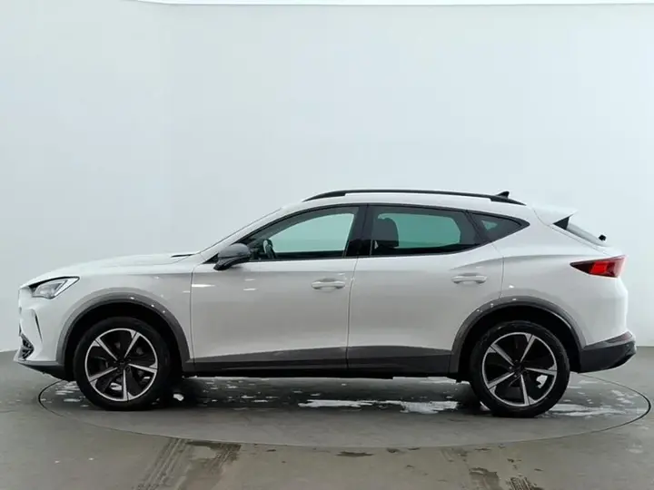 Cupra Formentor 2024 photo 4