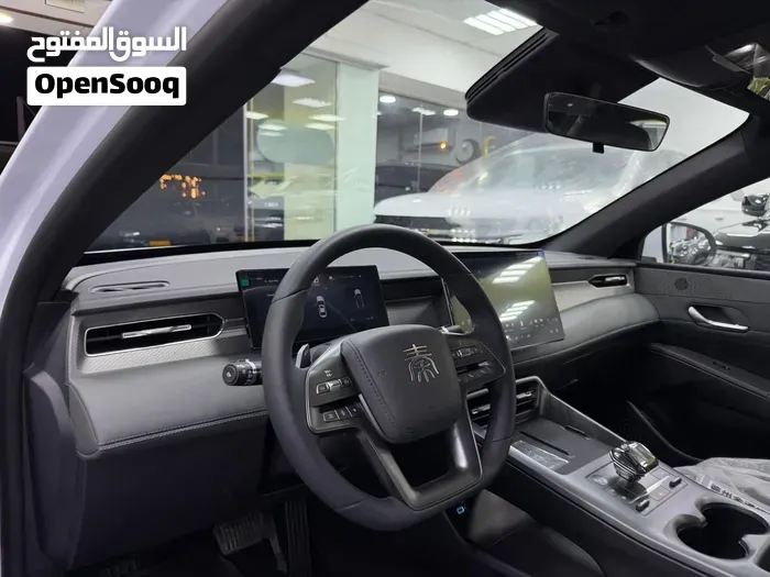 BYD Qin Plus 2025 photo 4