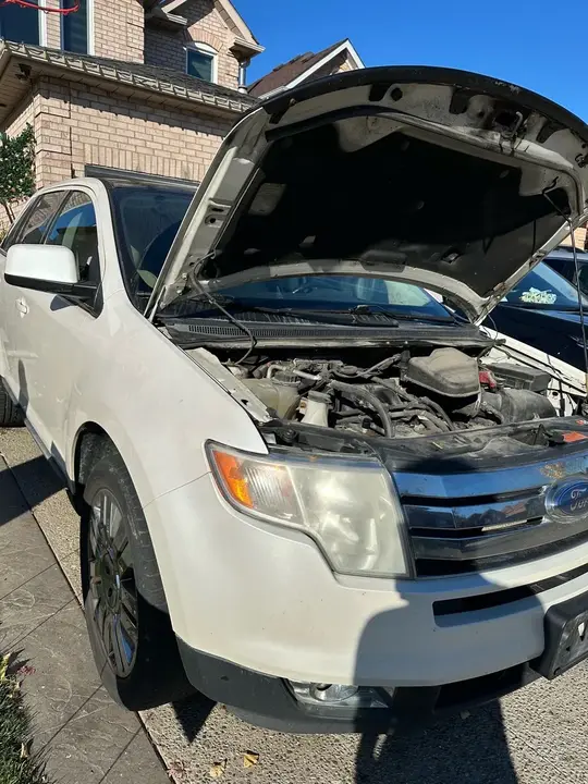 Ford Edge 2010 photo 3