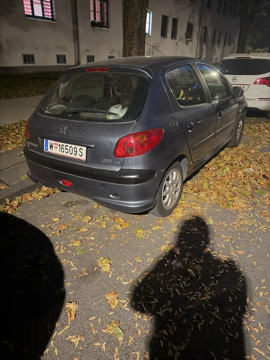 Peugeot 206 2005 photo 2