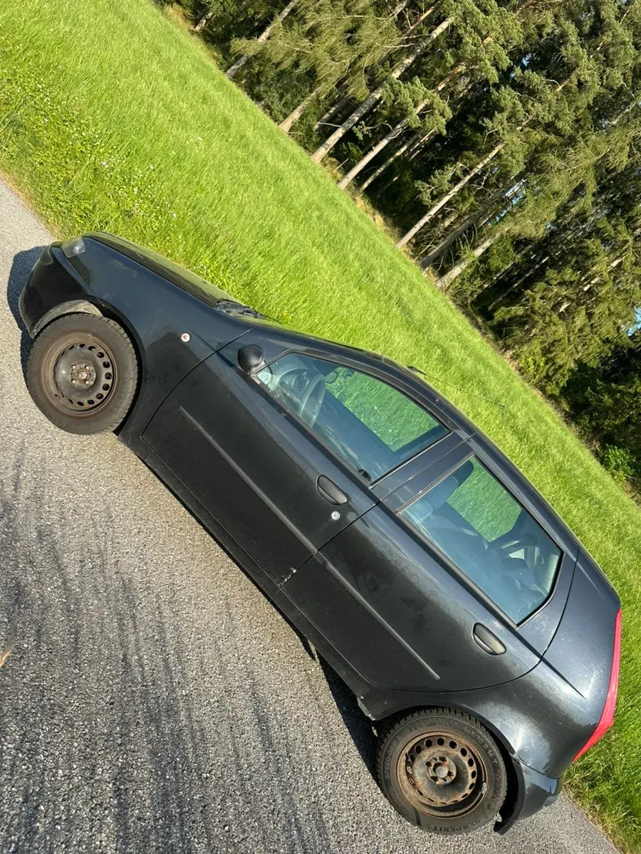Fiat Punto 2003 photo 2