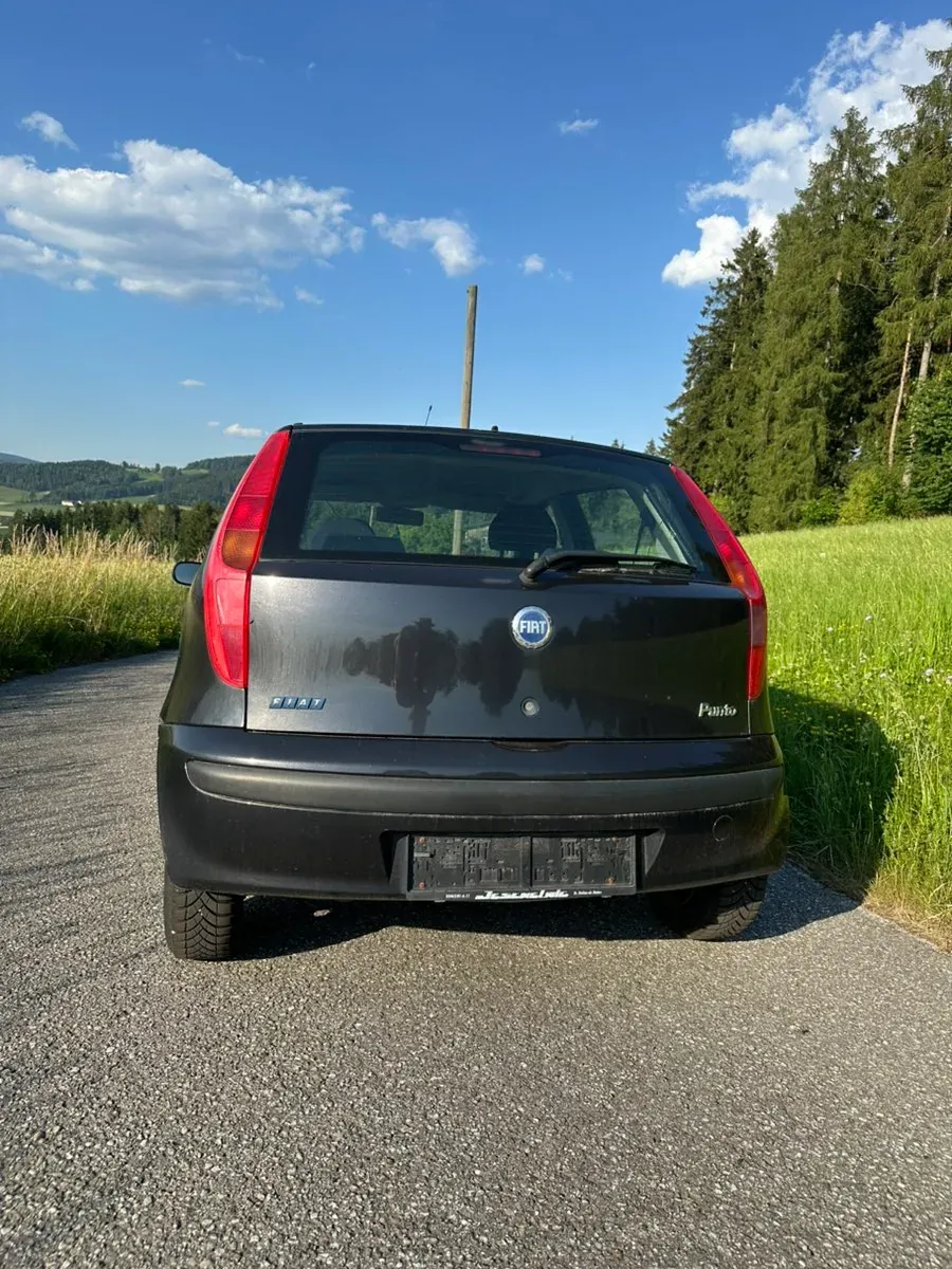 Fiat Punto 2003 photo 3