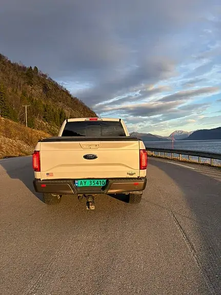 Ford F-150 2016 photo 4