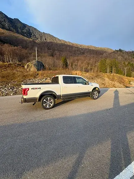 Ford F-150 2016 photo 3