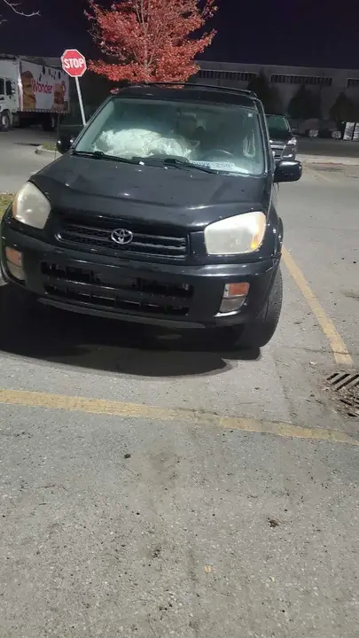 Toyota Rav4 2002 photo 2