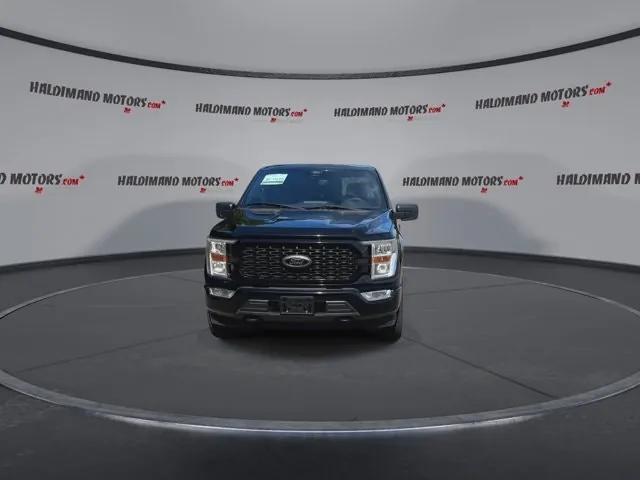 Ford F-150 2022 photo 3